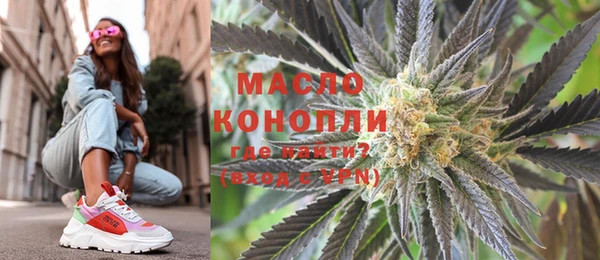 мет Алексин