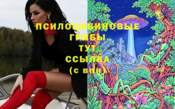 мет Алексин