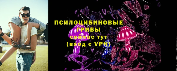 мет Алексин