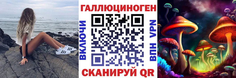 дарк нет как зайти  Ленинск  Галлюциногенные грибы Cubensis  купить наркотик 