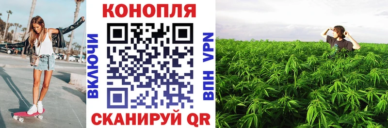 МАРИХУАНА планчик  Ленинск 